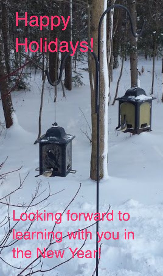 jacbalen's tweet photo. From my home to yours, from my classroom to yours, have a terrific winter holiday. #onted #wbe21c #engchat #cdncraft #2ndaryela #literacyOn https://t.co/Aj9f8HSKAB