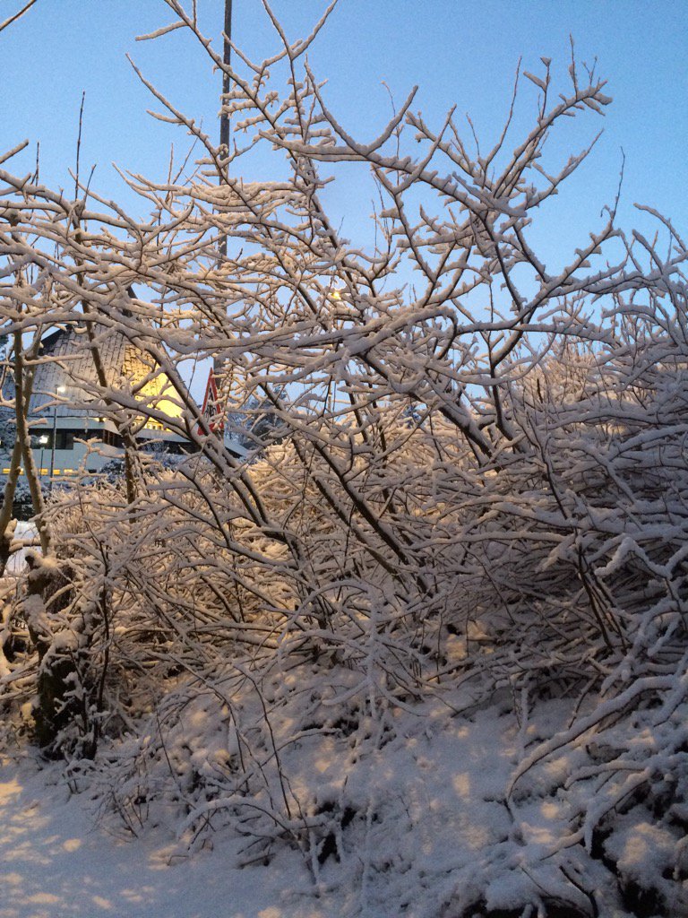 Vestkysta's tweet image. 🎄 Happy Xmas  Twitter