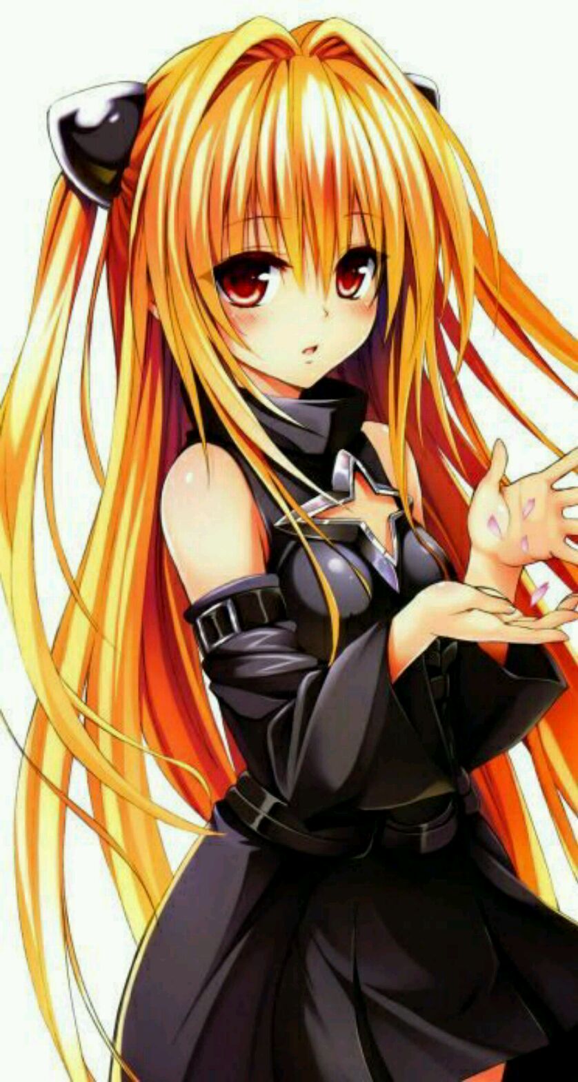 Alice 固ツイ 金色の闇生誕祭16 ヤミ生誕祭16 ヤミちゃん好きな人はrt 金色の闇 祝ってくれる人rt 12月24日は金色の闇の誕生日 ヤミちゃん好きな人rt おめでたい T Co Ldlluo8bjr Twitter