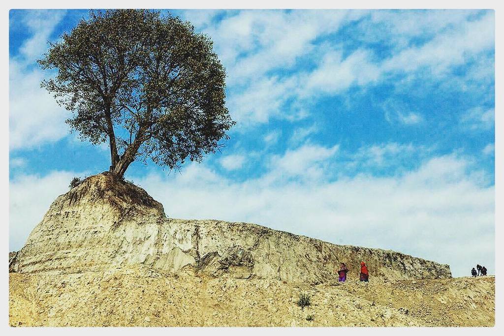 sthemanta's tweet photo. The earth is art, the photographer is only witness. #lonlytree #sthemanta #photojournalism… https://t.co/kF49uHs7CF https://t.co/N5pgUtJTEC
