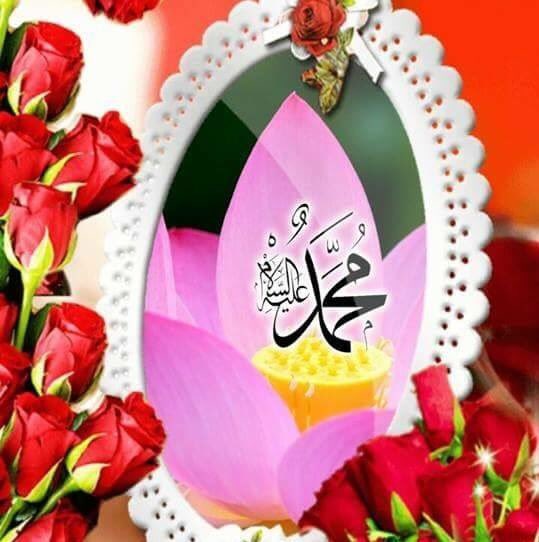 Hayat (@hayat84600210) on Twitter photo 