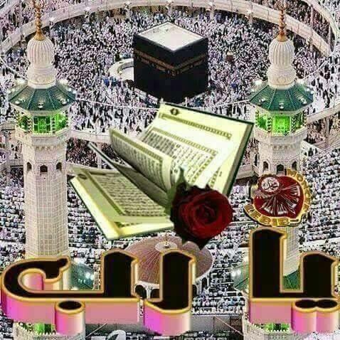 Hayat (@hayat84600210) on Twitter photo 