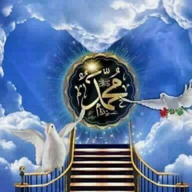 Hayat (@hayat84600210) on Twitter photo 