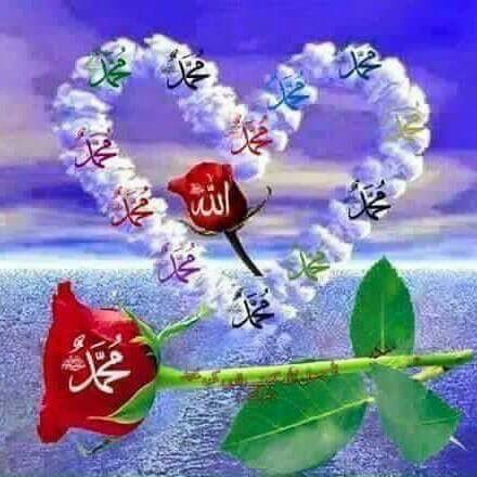 Hayat (@hayat84600210) on Twitter photo 