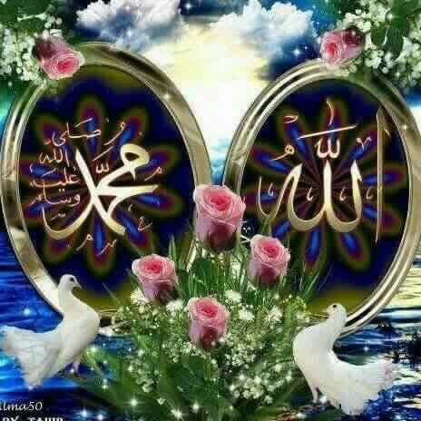 Hayat (@hayat84600210) on Twitter photo 