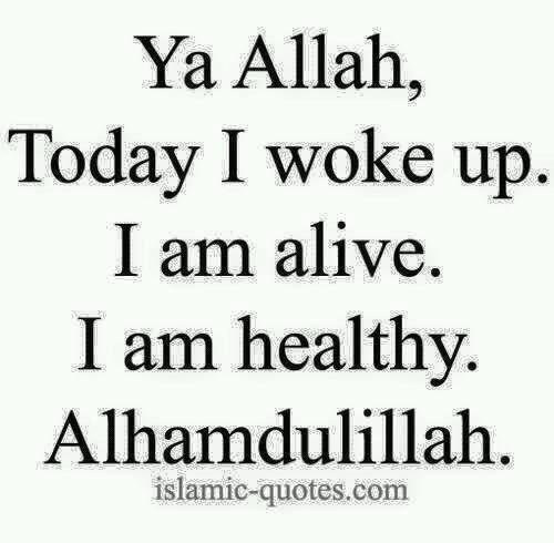 Hayat (@hayat84600210) on Twitter photo 