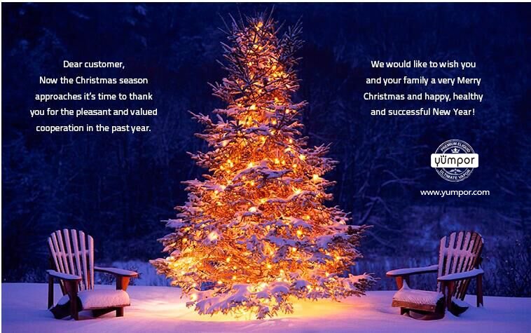 Merry Christmas and Happy new year!