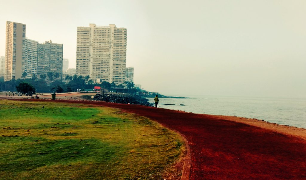 scarysouthpaw's tweet photo. Nothing beats Priyadarshini in the morning. #JoggingTracks #Mumbai https://t.co/byG08hkbgV