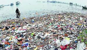 apsaridewi11's tweet photo. sampah ditepi pantai teluk benoa bgt memprihatinkan
#SaveTelukBenoa @Jokowi @DPR_RI @KementerianLHK https://t.co/4pS6tpg2IW
