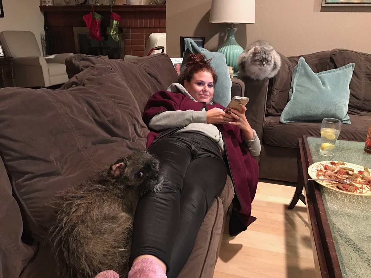 AliJacaruso's tweet photo. When it's cold out and you're being all cozy with the #furbabies like ๐๐ถ๐ฝโบ๏ธ @oscarfashionpet #ColdNight #christmasmovies #queenofbeasts https://t.co/1CHgwRO5vi