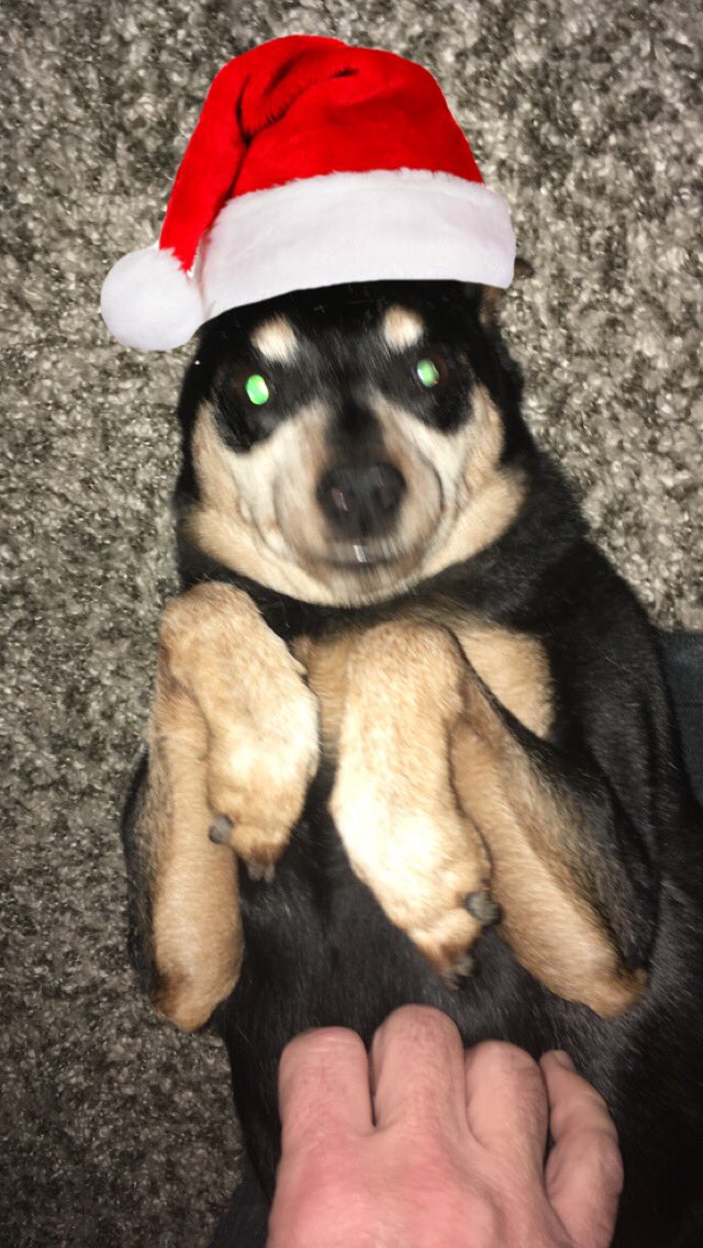 Dead Man's Mail tweet media