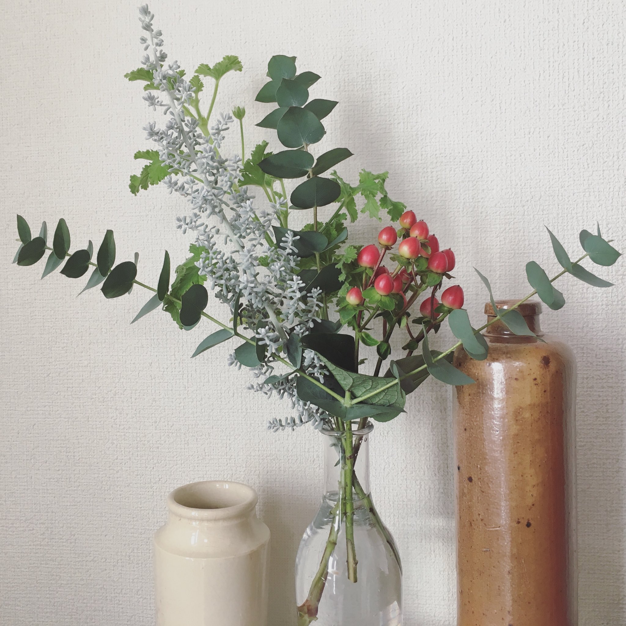 ａｎｎａ しばらくお花買ってなかったのでクリスマス用に ヒペリカム 赤い実 と ユーカリをはじめとする小さいグリーンの束を買いました 白い雪をかぶったモミの木みたいな可愛いやつはイスラエルからやってきたコチアという植物だそう ぽにぽにしてて