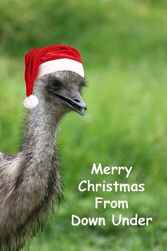 Merry Christmas.......all the way from Melbourne.....