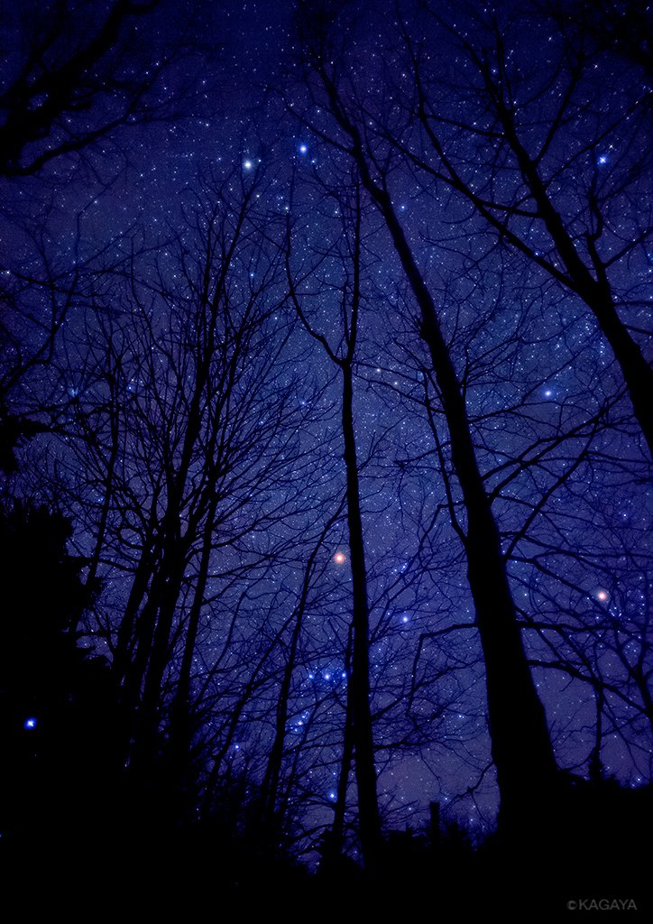 Kagaya 自然のクリスマスイルミネーション 写真集 星月夜への招待 から Kagaya 自然のクリスマスイルミネーション 写真集 星月夜への招待 から
