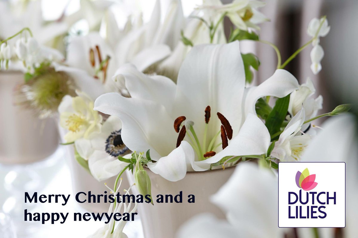 Debby de Jongh (@imanselelies) on Twitter photo 