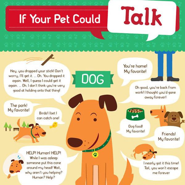 setzutem91's tweet photo. Visit us: https://t.co/JvKYFk766G

#dog #puppy #cute #eyes #pet #pets #animal ... https://t.co/418y4BCeIc