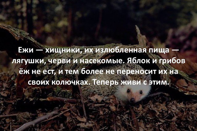 В Новолуганском установили блокпост для противодействия контрабанде под покровительством силовиков, - волонтер Шовкошитный - Цензор.НЕТ 7016