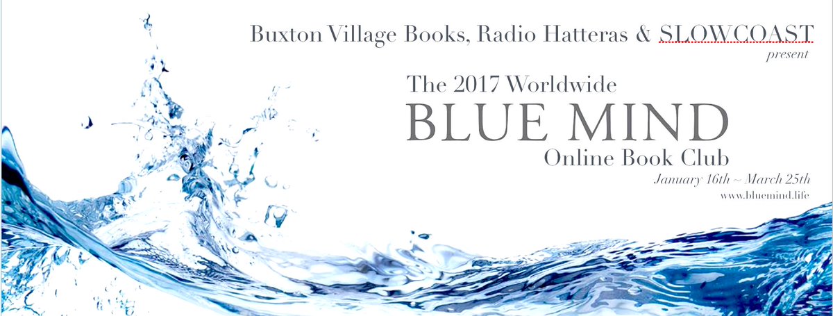 The Blue Mind Movement tweet media