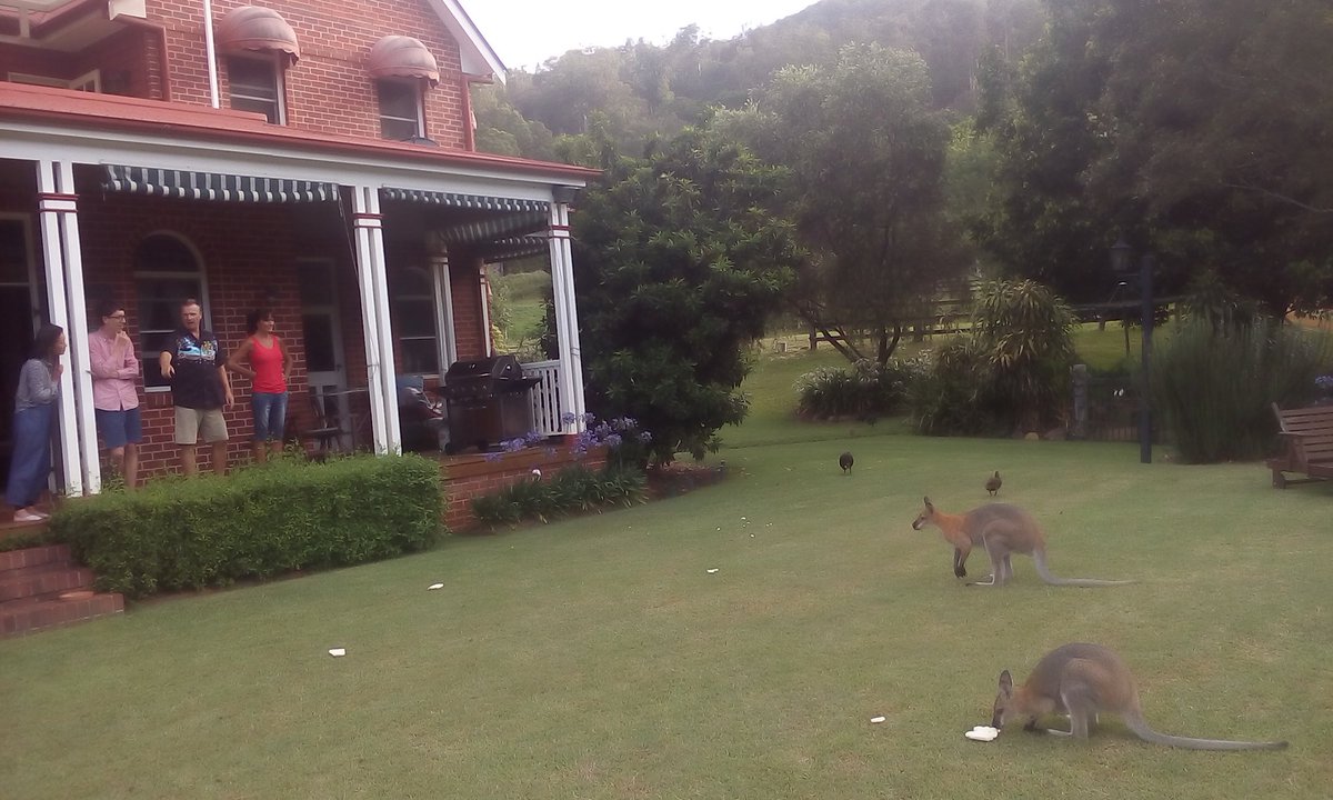 LongBallToNoOne's tweet image. Christmas Eve at Ian&apos;s #sponging