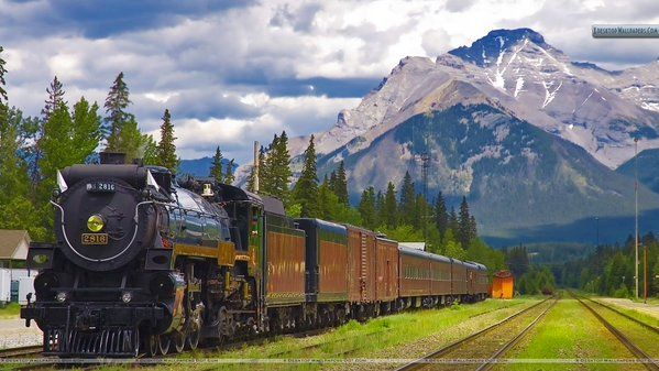 LuxuryTravel77 tweet picture