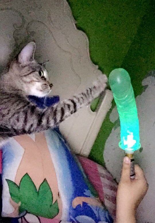 Devonchie1's tweet image. @UltraGayWeeb