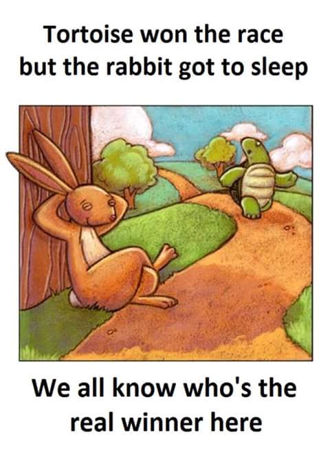 HairFallToday's tweet image. Yep... The turtle did