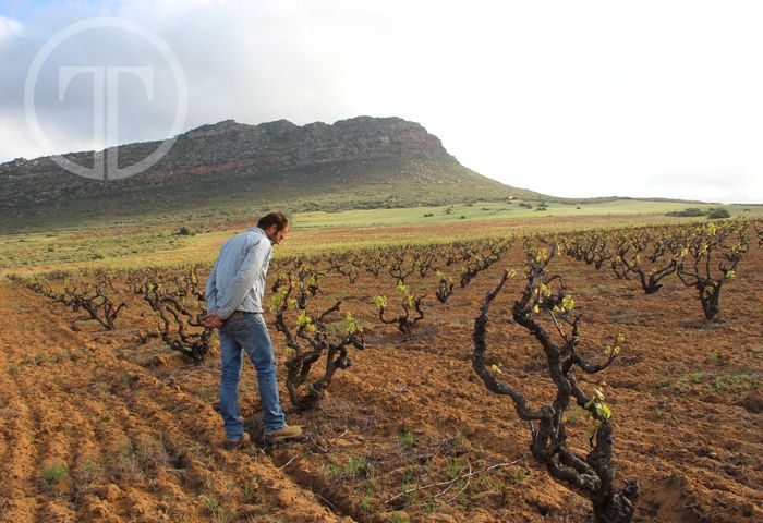 TerroirTalking's tweet photo. “Wine is a process, as is life. It requires intuition, the ability to observe and inhale the ambient of
what exists” https://t.co/tdjB5mB3Va https://t.co/fBrq0rCWCC