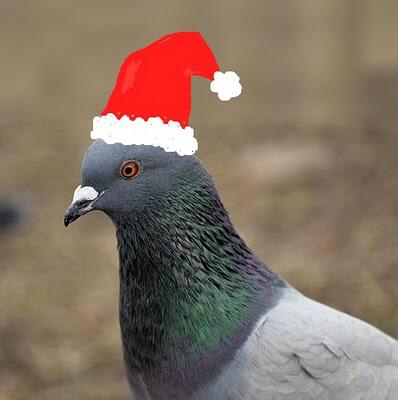 DirectSolarCare's tweet image. Santa's pigeons have been spotted in London making deliveries. #Christmas is nearly here!