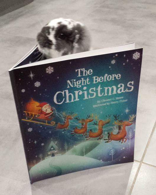 Lagolearn's tweet image. Day 24. Twas the night before Christmas and this little one is getting ready although its a little early for bed! #adventcalendar #lagolearn