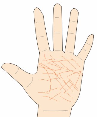 占いサロンウィズ 手相のしわー手相占い 手相のしわが多い人 しわだらけで恥ずかしい なんて思わなくて大丈夫です 恥ずかしいと思う人が結構いるみたいなのですが こう T Co Kvgnjv4rj1