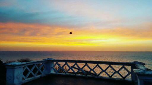 Sights Of Folkestone tweet media