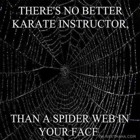 MyQuickSearch's tweet image. Every single time.

Looking for Karate Classes?
buff.ly/2ieVcIM