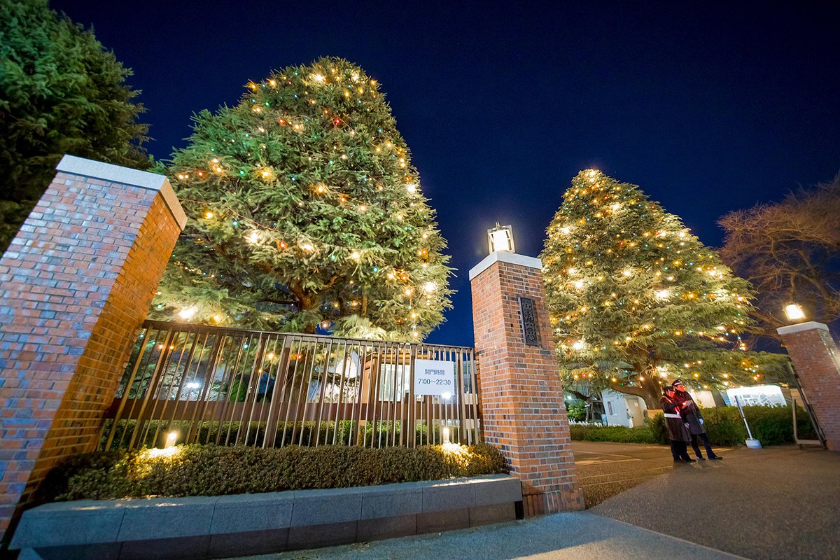 Yuji Shibasaki Photo 立教大学新座キャンパス クリスマスツリー うちから最も近く 最も巨大なリアル クリスマスツリー 今年も見事に輝いております 警備員さんから撮影の快諾を得てゆっくりと撮れました 立教大学の皆様 今年も素敵なツリーを