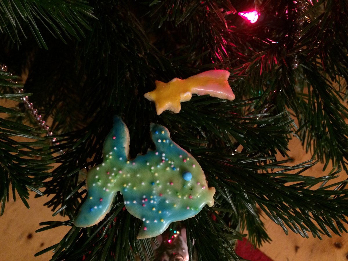 Goldfish tweet media