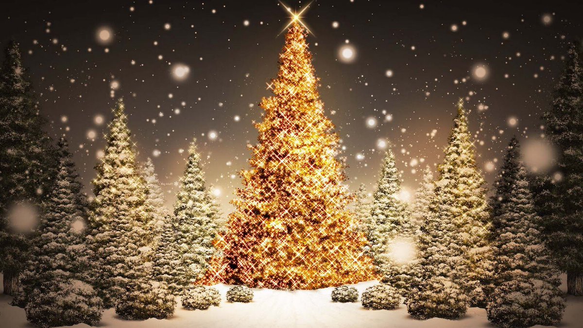 wereldin's tweet photo. Wij #wensen iedereen #prettige en #liefdevolle #kerstdagen. ❤️ https://t.co/p6Yhhozy4L