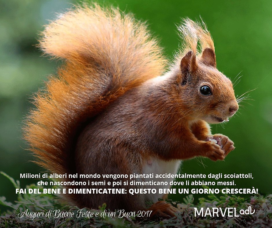MarvelADV's tweet photo. Auguri di Buone Feste e Buon 2017! https://t.co/xF0Bda03ou