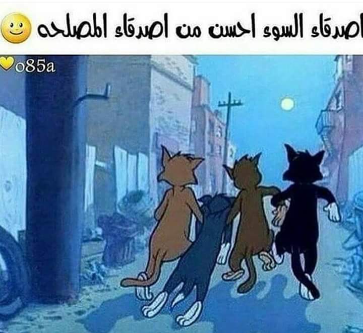 امير الحب (@alnasryhamody11) on Twitter photo 