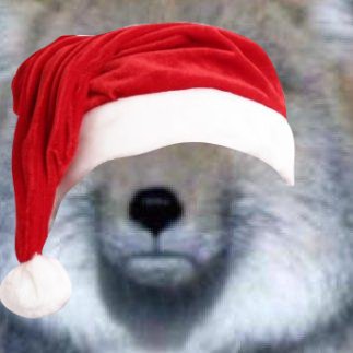今年1年を振り返ろう 