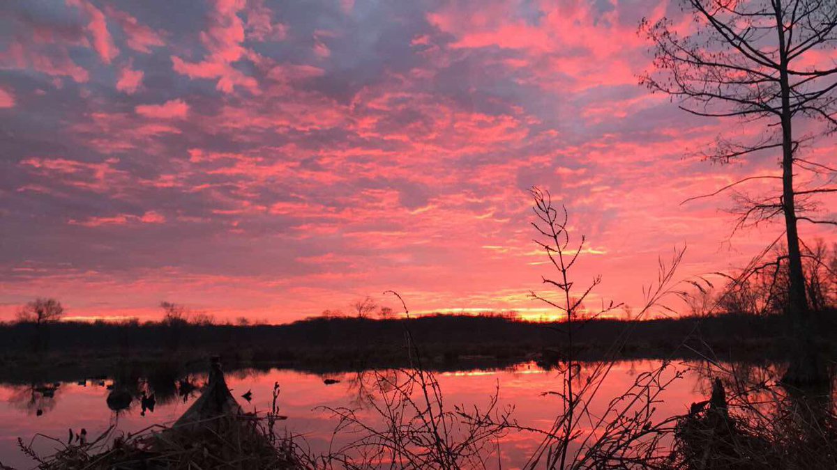 wings_outd's tweet image. Love a good sunrise