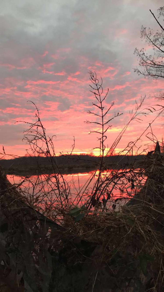 wings_outd's tweet image. Love a good sunrise