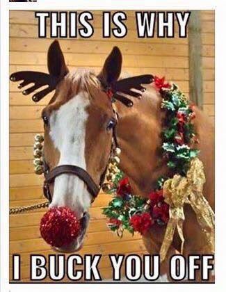 😂 Merry Christmas fellow equine lovers 💜❄️🐴