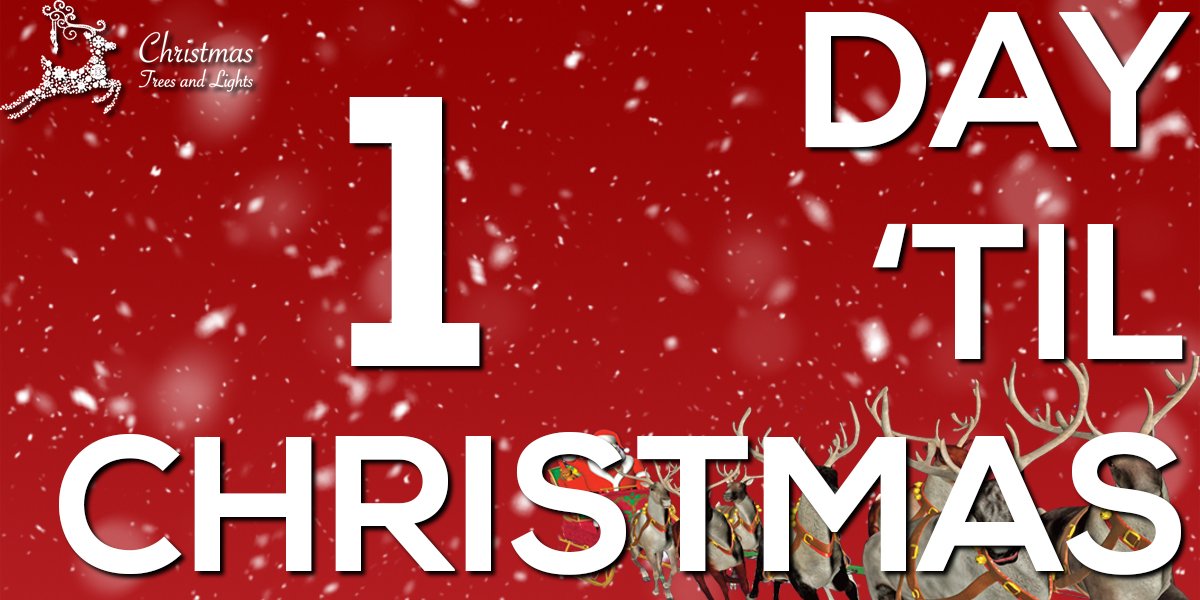 XmasTreesLights's tweet photo. https://t.co/QUYs4zN6zA