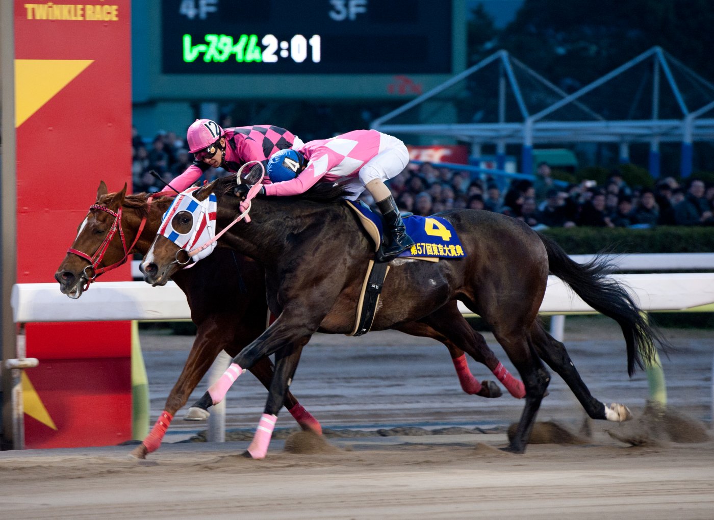 東京シティ競馬 (TCK) on X: 