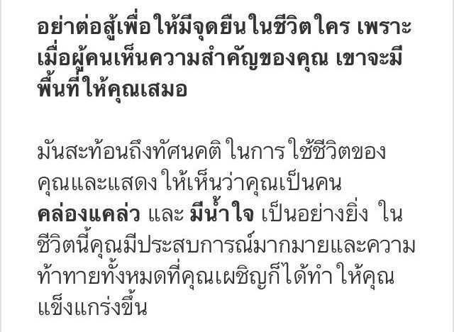 🐼 tweet media