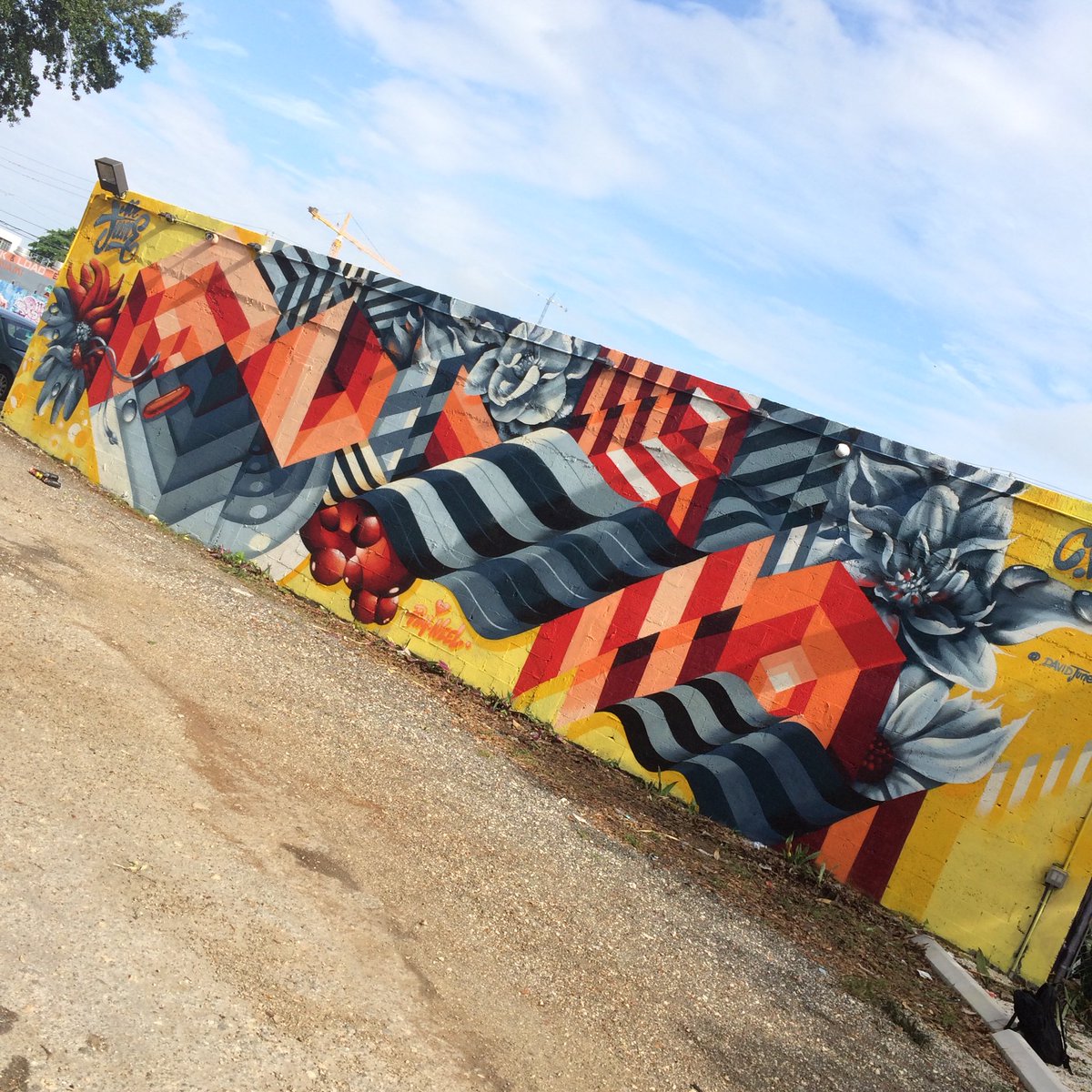 Mr. June tweet media