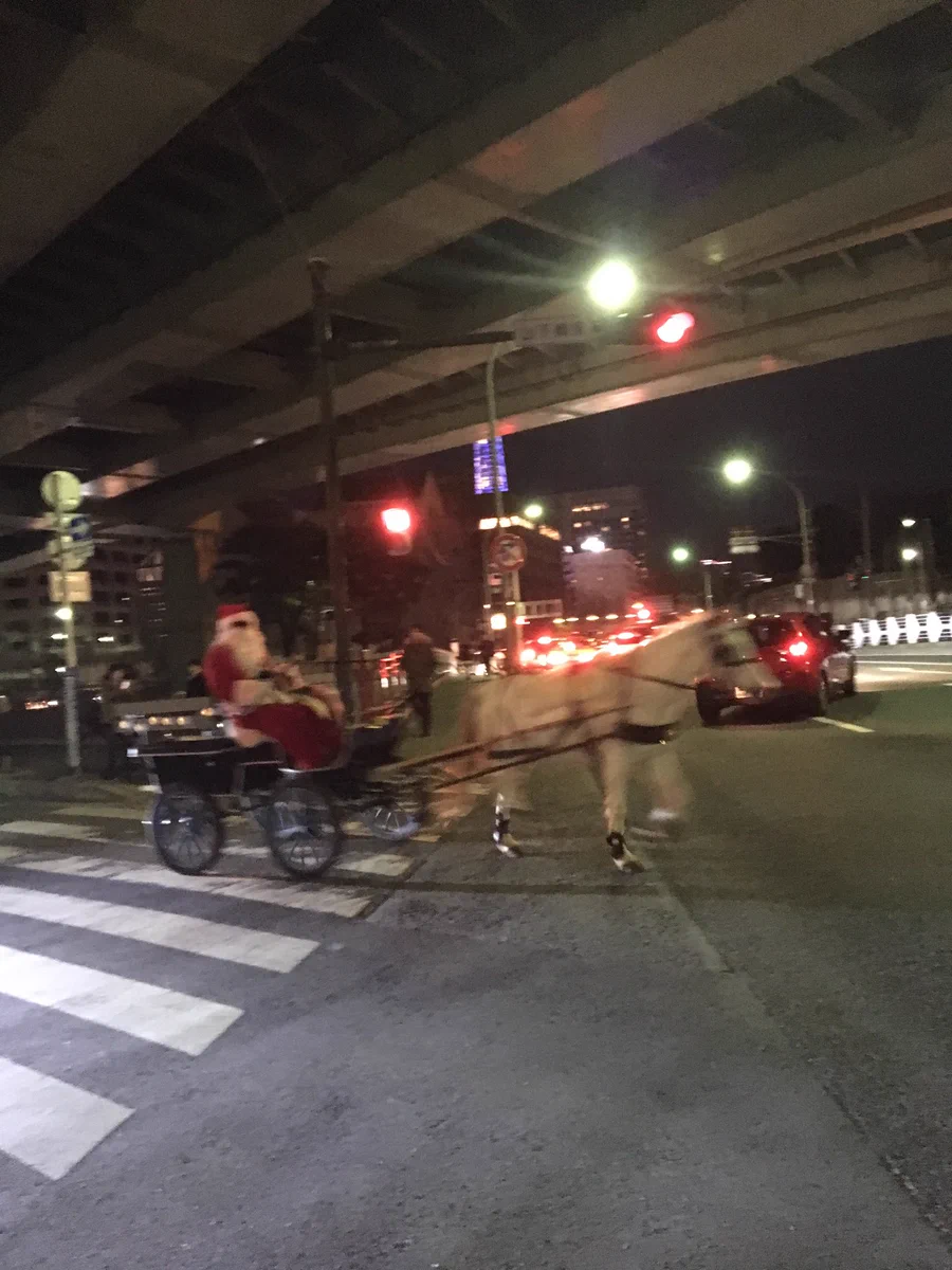 まるで本物のサンタみたいｗｗ道路走っても大丈夫なのか？ｗｗ
