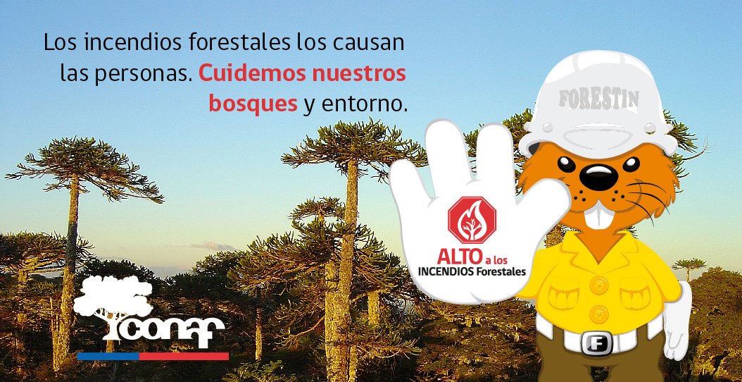conaf_minagri's tweet photo. El bosque nativo es la herencia para nuestros hijos y las futuras generaciones. ¡Di #ALTOalosIncendiosForestales! https://t.co/CQmPocJF2D