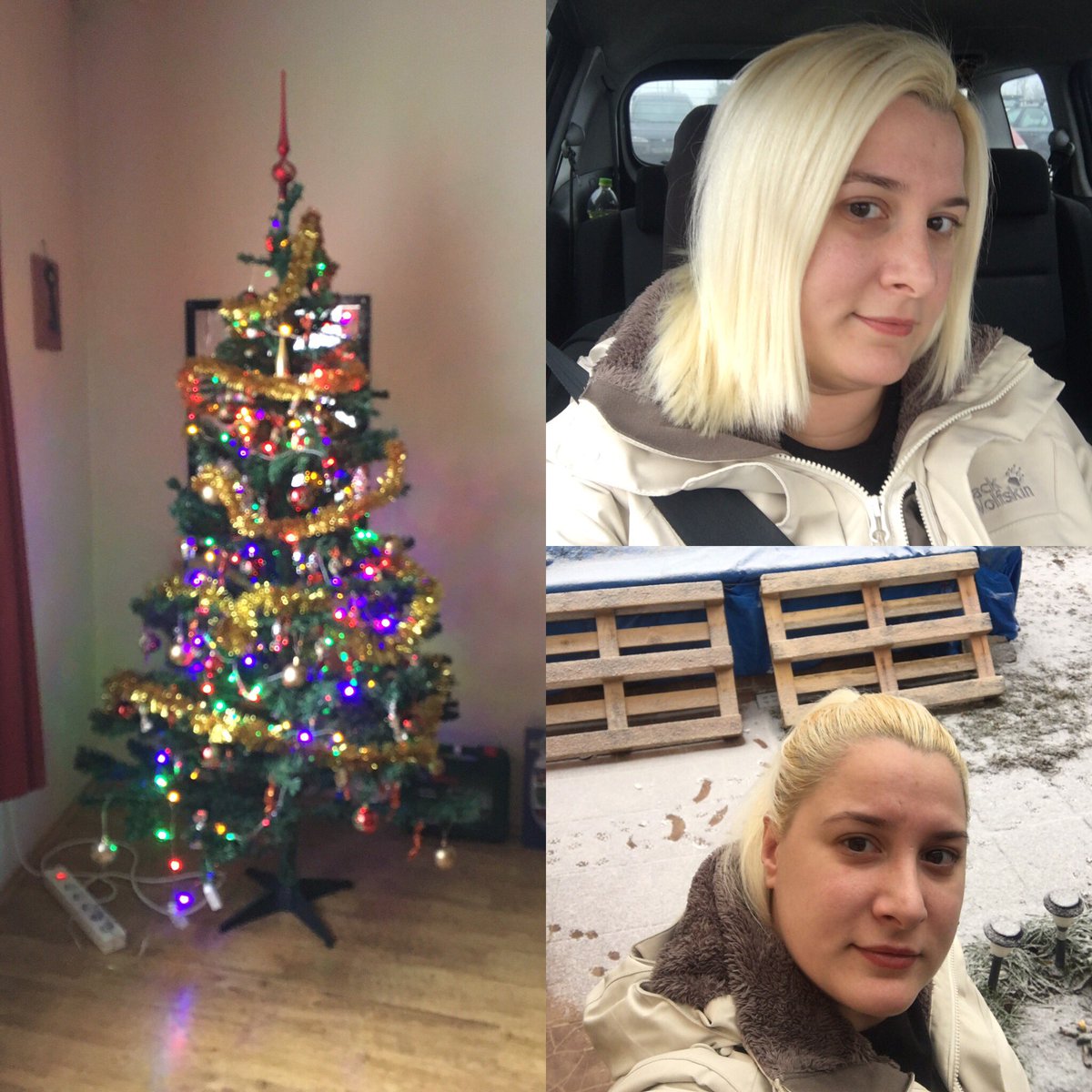 Noycica's tweet photo. Merry xmas everyone 😉🌲🎄 https://t.co/5xdnJSpfPa