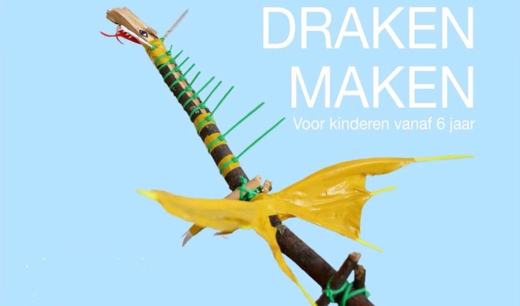 Donderdag 29 december kinderworkshop Draken maken in Flehite