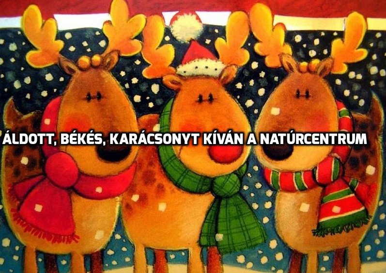 jáde ásvány (@jadeasvany) on Twitter photo 